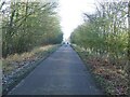 Driveway To Coldham Hall