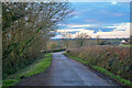 Membury : Country Lane