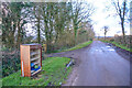 Membury : Country Lane