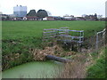 The field south of the Brue