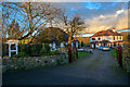 Axminster : Strangers Hill Farm