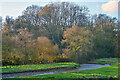 Axminster : River Yarty