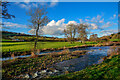 Axminster : River Yarty