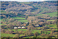 Membury : Countryside Scenery