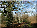 On the High Weald Landscape Trail near Whitehouse Farm Cottages