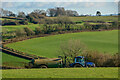 Membury : Grassy Field