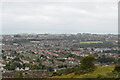 Folkestone from Creteway Down