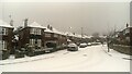 A wintry morning on Ranelagh Drive