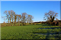 On the Bridleway to Bagby Grange