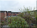 View to part of New Park Road from the footpath on the old canal