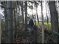 Path beside the railway line past Coton Grange