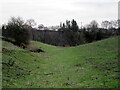 Side valley descending to Red Brook