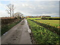 Fen Lane, Bassingham Low Fields