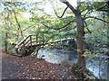 Footbridge over Seaton Burn