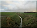 Drain, Navenby Low Fields