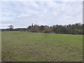 Berwick House viewed from across the Severn