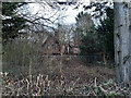 Ruins of Spring Wood Cottage