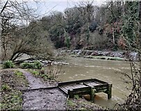 SO5074 : River Teme at Ludlow by Mat Fascione