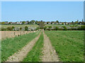 Track east from Great Cowbridge Grange Farm