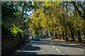 Shanklin : Church Road A3055