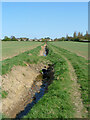 Footpath Billericay 11 by ditch