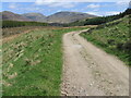 Track beyond the road to Benmore Lodge