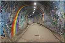 NT2169 : Colinton Tunnel Mural (3) by Graeme Yuill