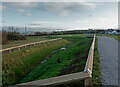 A ditch linking two balancing ponds