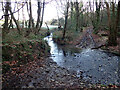 Ford in Middlefields Wood