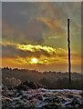 SK2679 : The wooden pole at Longshaw by Neil Theasby