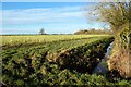 Farmland, Towersey