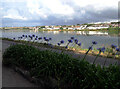 King George V Memorial Walk, Hayle