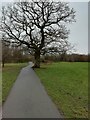 Footpath through Rose Vale Park, Heald Green