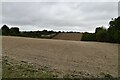 Field on Folkestone Downs