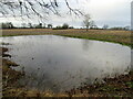 Flooded field