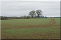 Farmland near Burcot