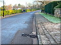 A suburban street in Bristol