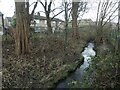 Balne Beck, Wakefield