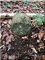 Old Boundary Marker in Reins Wood, Brighouse