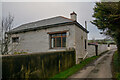 Braunton : Country Lane