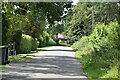 Lane into Ashurst Wood