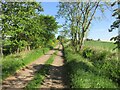 Track from Friockheim to Glasterlaw