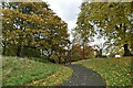 Green Chain Walk, Plumstead Common