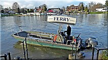TQ0765 : Shepperton Ferry by Mark Percy
