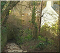 Dartmoor Way approaching Ashburton