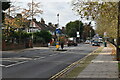 Shooters Hill Rd