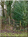 Woodland track south-east of Spring Hill, Wolverhampton