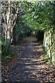 Footpath off Culverden Down