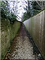 Footpath by Bagley Wood Road