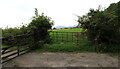 Two field gates near Llanddewi Rhydderch, Monmouthshire